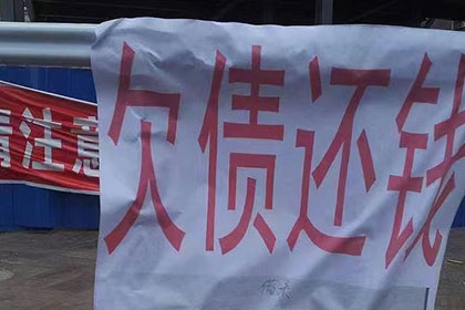 美团借款违约可能面临何种刑罚？